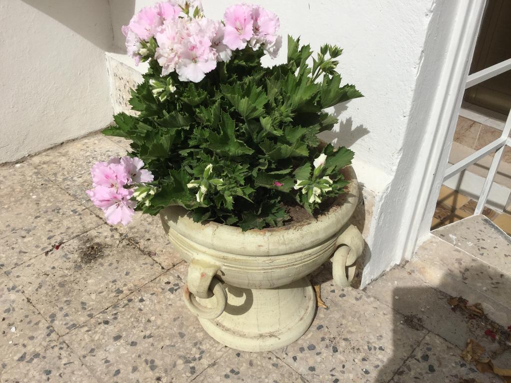 Case Vacanze Le Rose Villa Noto Exterior foto